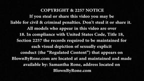 Mindi Mink, Samantha Rone MILF Romance