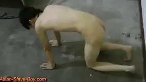 Asian Slave Gets Smooth Doggy Style Training In BDSM Bondage Scene