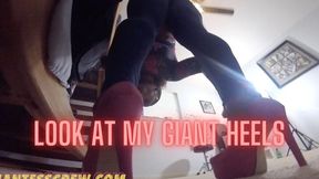 GIANTESS CREW- Look at my Giant HEELS