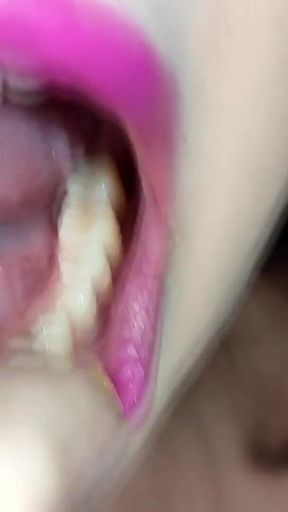 Mouth Tour