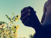 Dany x : Sunflower Love