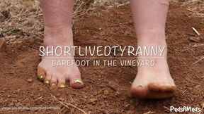 ShortLivedTyranny Barefoot in the Vineyard