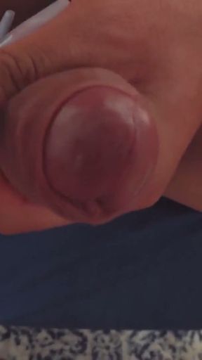 TGIRLS XXX: Gia Staxxx Stays Gorgeous!   Clip 1