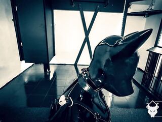 Feminized Latex Puppy Play