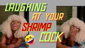 Laughing at your shrimp cock