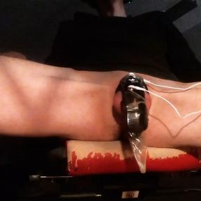 Cumming in chastity with E-stim