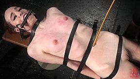 Pain Piggy Wants More - Brooke Johnson