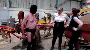 Down On The Farm - Put To The Test