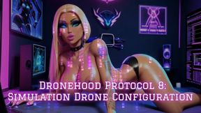 Dronehood Protocol 8: Simulation Drone Configuration