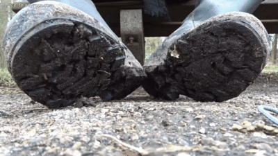 Lick them clean for me!