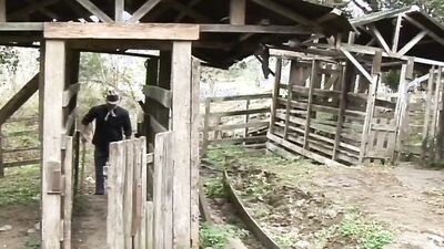 On the farm the young employee gets hard and strong from behind in his tight asshole fucked