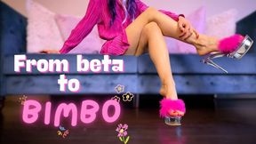 Beta Affirmations: From Beta to Bimbo