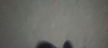 Spacer po spotkaniu w parku w Leborku Spacer po konsultacji w parku w Leborku