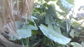 dolphinlover this you/garden intro y missonsavehome is worthy