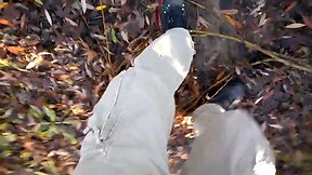 cock outdoor in the woods