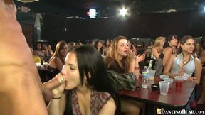 Dancing Bear gives facials