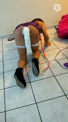 Sissy Pet Training (playing Fetch with Sissy Bitch)