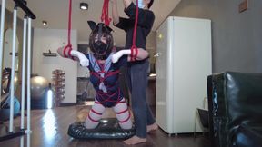 Mz31 - a Girl Tied and Suspended by a Red Rope Reaches Orgasm.