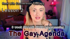 Gay Agenda - Lesson 2