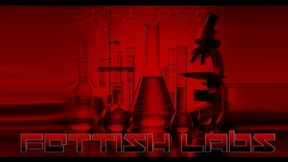 The Impact Table - Ashleigh