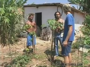 Horny Cowboys Fuck a Farmhand