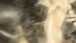Track camgirl