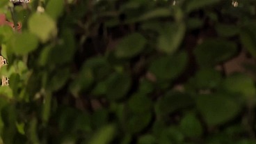 Coroa ofereceu dinheiro pro entregador e fodeu ele na varanda mesmo.