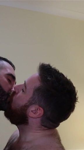 Bears Kissing