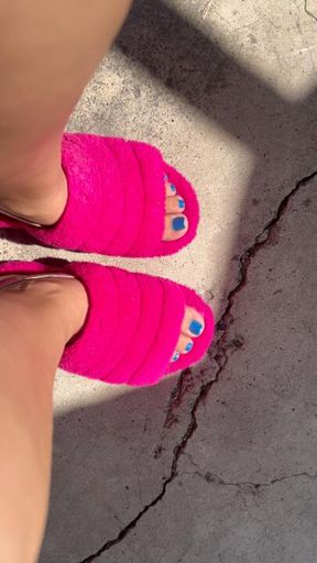 Do you have what it takes