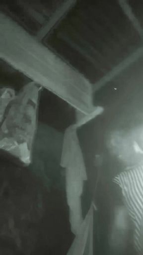 This Is the Best Fresh Pussy I Have Seen