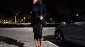I Put on My Transparent Dress and Let the Piss Run