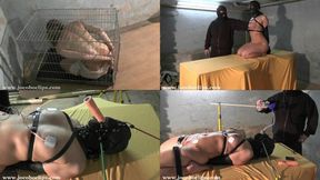 The Interrogation XXL - FULL HD (mp4) - JP20260318