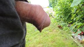 Me pissing at parking in a small town