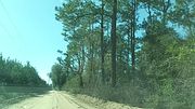 TRIP TO THE CREEPIEST WOODS IN AMERICA!
