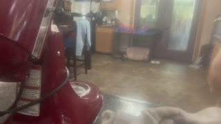 Big boob Bbw cooking in just an apron