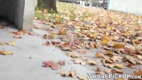 Euro street lady gets pounded and films happy customer's big cock