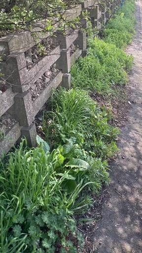 Compilation of Me Taking Long Naughty Piss in Park