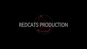 compilation - wife takes 35 cumshots and creampies in one breeding weekend