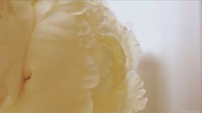 BNWO ASMR - Clarity (w-o music)