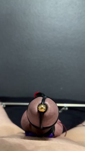 Cock Urethra Electric Milking