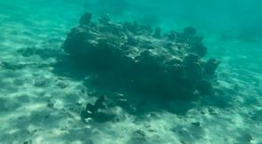 My naked diving on a public beach - rate what I can do underwater