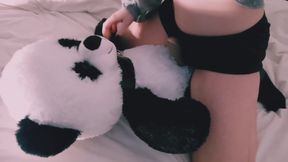 Compilation Humping Pillow Rubbing Vagina On Teddy Bear Pov Amateur Uncensored Stepsister