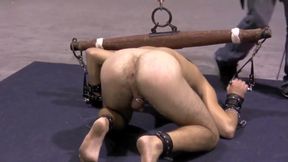 Well-cummed Slaves - Chapter 4