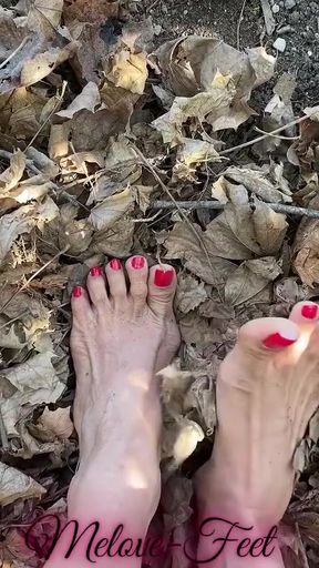 Captivating moment from &quot;Melove Sexy Small Feet with Red Toe Nails in Leaves&quot;