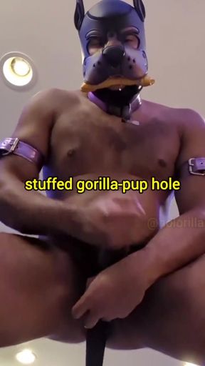 Tail Plug Fuck   Clip 1