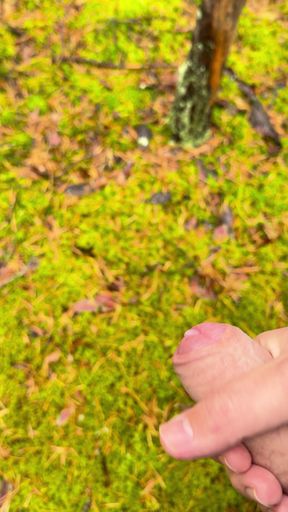 Jerking off in the forest with fast cumshot