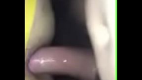 IMG 1837