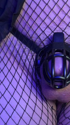 Caged up and Lost the Key