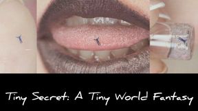 Tiny Secret: A Tiny World Fantasy
