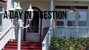 A Day In Digestion
